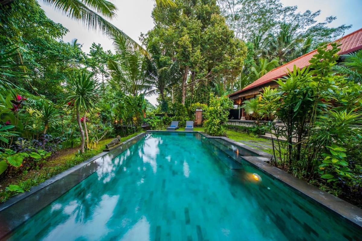 Luxury 3Br Infinity Jungle View Aashaya Villa Ubud Экстерьер фото