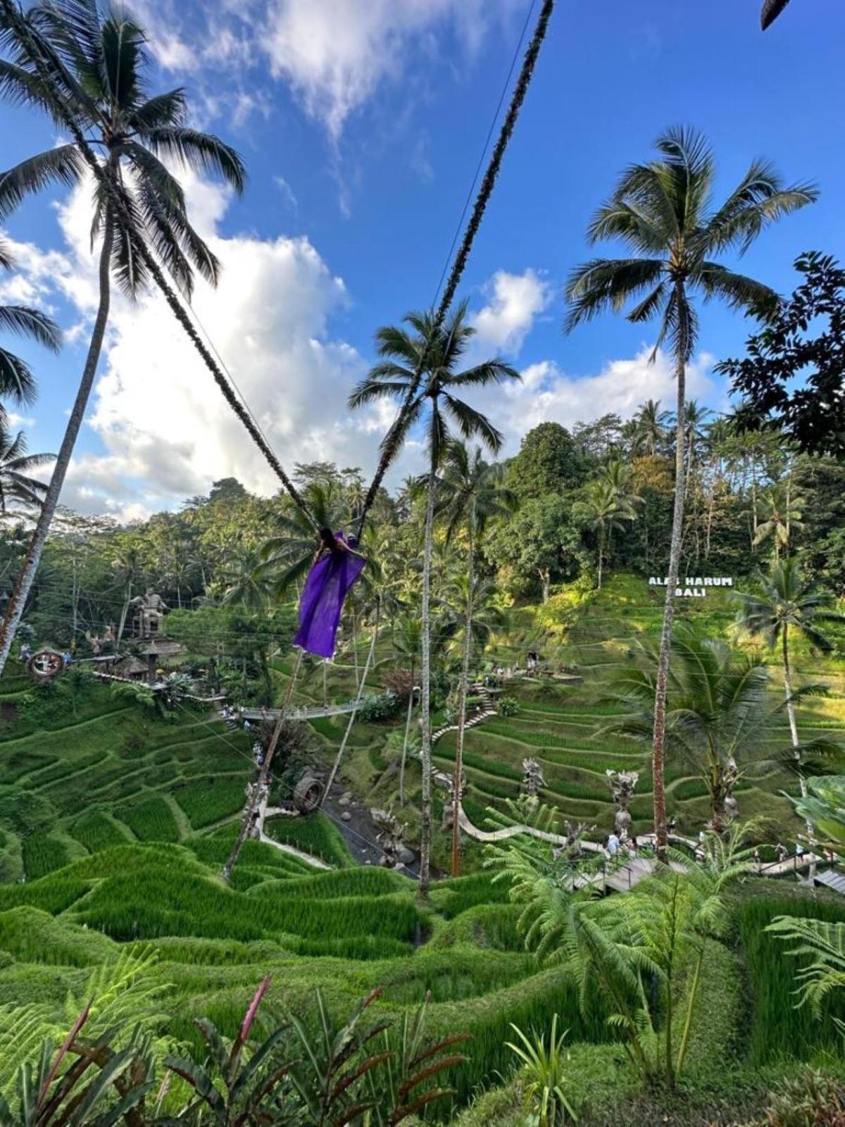 Luxury 3Br Infinity Jungle View Aashaya Villa Ubud Экстерьер фото
